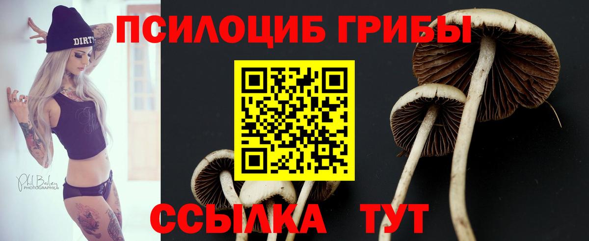 Галлюциногенные грибы MAGIC MUSHROOMS Нефтекумск